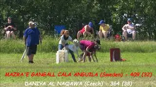 Saluki Female, 2nd RUN, runs + points + final places. European Lure Coursing Championship 2019.