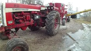 Наша новая модель 856 Custom перемалывает початки кукурузы в корм для скота.