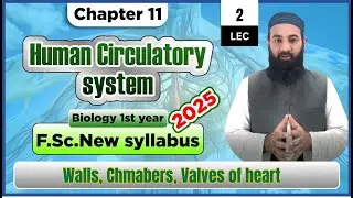 Structure of heart | Human Circulatory system | Chapter 11| F.Sc. 1st Year Biology | Lec# 2