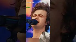 Reaction video #strangerthings #chinchilla #pets #funny #petchinchilla #viralvideo #cute #viral