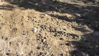 A Hike on the Placitas Open Space