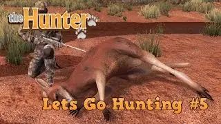 Let's Go Hunting #5 Red Kangaroo theHunter 2017