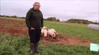 Oscar interviews a pig farmer!