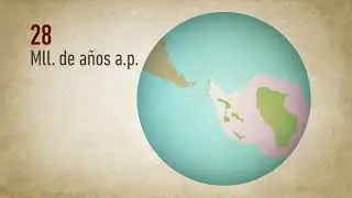 MagallanesLab 2017 - Nothofagus &Aacute;rboles en Magallanes