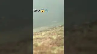Water view in kushinagar #viralvideo #water #trendingshorts