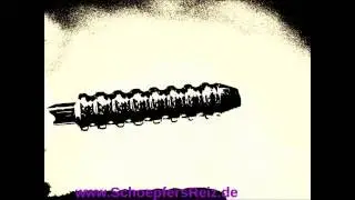 SchoepfersReiz.de - 8 Ringe + Loch - Urethral Sounding - Harnr&ouml;hrenimplantat