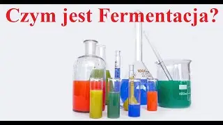 Czym jest FERMENTACJA