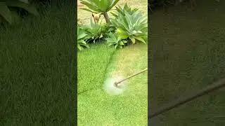 Trimming Overgrown Grass for a Neat and Clean Garden Edge