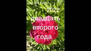 ruso con Sveta la fecha de hoy 1  июня  2022 года