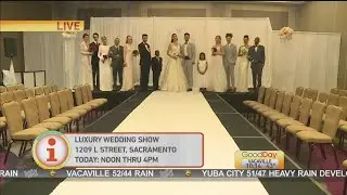 Luxury Wedding Show