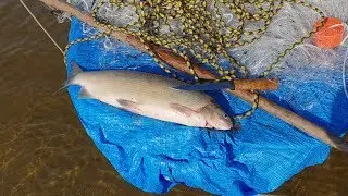 Чир -Трудовая рыбалка Якутия Yakutia