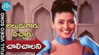 Alludugaaru Vachcharu Movie - Chaalichalani  Video Song || Jagapati Babu || Heera Rajagopal