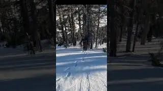 Don't fall Eddy!!!   4K. #snowboarding #mountains #crash #sliding