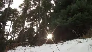 Tv Tera Bitola   NP Pelister direktno vo mapiranje na terenot za gondolska zicnica 03 02 2026