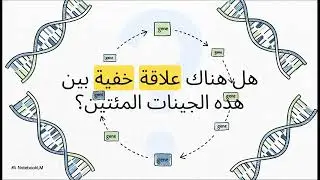 من الشفرة إلى الدليل 6.00