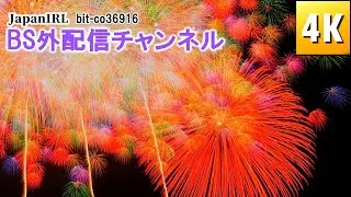 【外配信IRL】岡部コスモスまつり花火大会/Okabe Cosmos Festival Fireworks