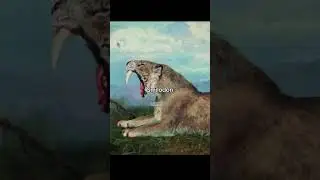 Your Country&rsquo;s Forgotten Predators 😳 (wait for the last one)
