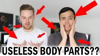 7 Useless Body Parts You Didn't Know You Had