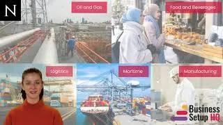Company formation in Hamriyah Free Zone | Business Setup HQ