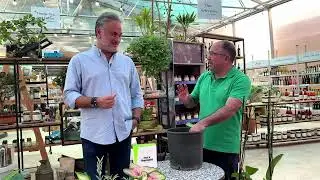 The Therapy of Plants: Connect with the Land During The Hard Times with Marc Beyrouthy