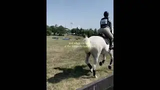 I love the Kentucky horse park sm