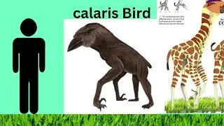 Size comparison kepler22b creatures
