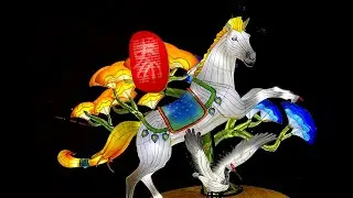 Animal Aglow 2025