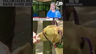 Guide Dogs for the Blind hosts ice cream social to recruit puppy raisers in Boring, Oregon