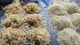 MUMBAI ANDHERI(MAROL)WHOLESALE SHANIWAR SUKHI(DRY FISH) MASHI MARKET VLOG @Eat_Healthy_Stay_Wealthy 
