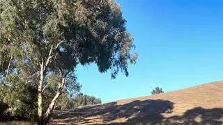 Beautiful View @ Bed Well Bay Front Park In Menlo Park CA On Friday October 3 2025