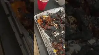 Cardi B cooks for Offset #shorts #couplegoals #offset #cardib