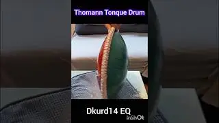 Erstes spielen auf der Thomann Tonque Drum Dkurd 14 #shortvideo #fy #percussion #tonquedrum