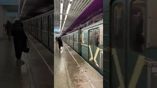 #0255 номерной МСК #shorts #automobile #metro #метропоезд #мем #метропабг #метро5карта