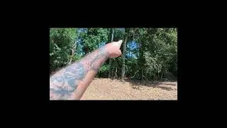 Mulching a MONSTER dead hanger!