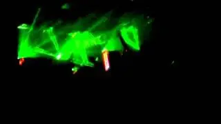 White rabbit rave