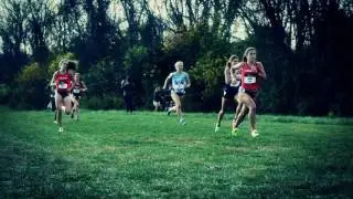 2016-17 Virginia Athletics Highlight Video