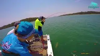 BrizzyMedia  - FISH FLICKERS -  Promo Video