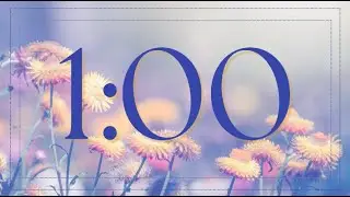 1-Minute Timer: Gorgeous Orange  Daisy Flower Field Countdown