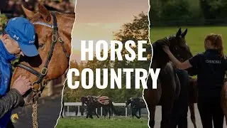Experience Horse Country: Discover Ireland&rsquo;s World of Horses, Heritage & Heart!