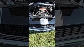 1969 Camaro Small Block Chevy 350!!! #camaro #carcruise #car #sbc #1969 #coolcar