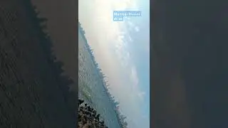 #mumbai #mumbaiindians #marinedrive #maharashtra #beach #enjoy #life #sukoon #nature #viralvideo#ee