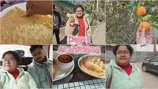 সিটং এ বিখ্যাত সেই কমলা লেবুর বাগান দেখলাম দারুন কমলা লেবু খেতে❤️