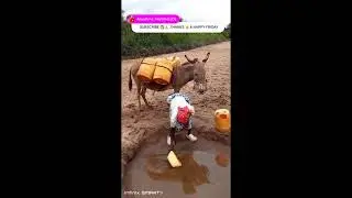 LIVE!! WATER IN THE DESERT; UNBELIEVABLE HOW WE FETCH & DRINK DIRT WATER & WE ARE HEALTHY & HAPPY