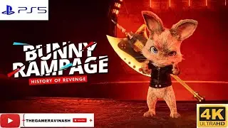 Bunny Rampage History of Revenge Puzzle 6
