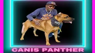 ***Repeat*** Episode 32: Canis Panther - Michael “Gypsy” Stratten & Lori Berg