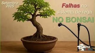 Falhas no sistema de rega no Bonsai