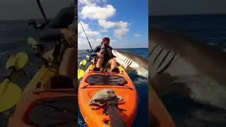 #Shark Attack on a Man in a Boat#viral video#