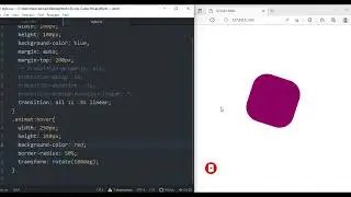 CSS Advanced|| Transitions in CSS #6|| CodingWithRohani