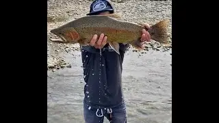 Fly Fishing on the Lower Sac