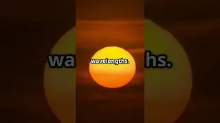 Is the Sun Yellow or White? The True Color Revealed! #SunColor #Astronomy #Sunlight #Physics